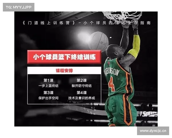 2米2巨人NBA生存指南 2米2巨人NBA生存指南